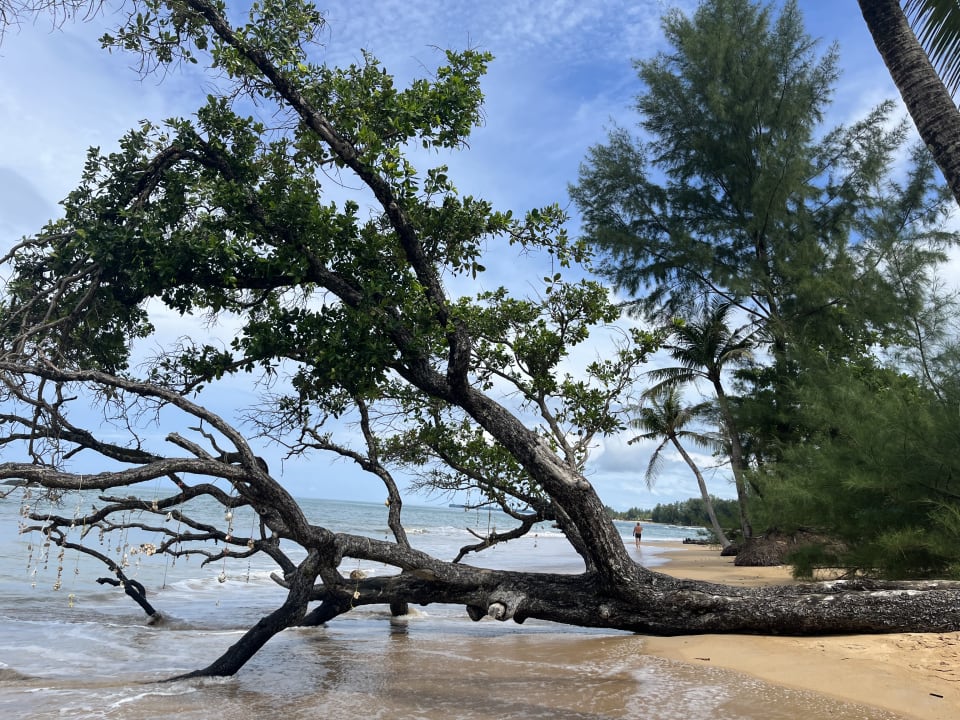 Strand Khaolak Bhandari Resort & Spa