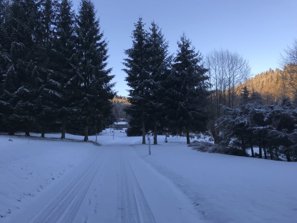 Gartenanlage Ferienhaus Lichtung