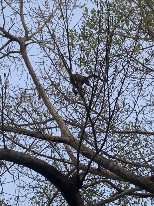 Sonstiges Iberostar Waves Paraiso Beach