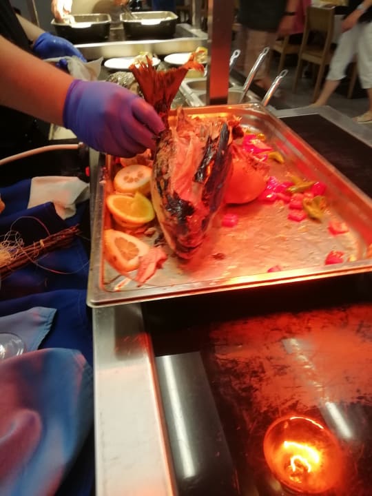 Gastro HVD Viva Club Hotel