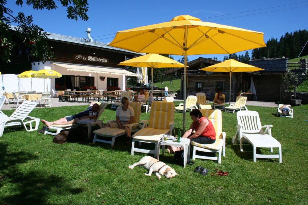 Blick zur Mülleneralm Hotel Müllneralm - das Hundeparadies