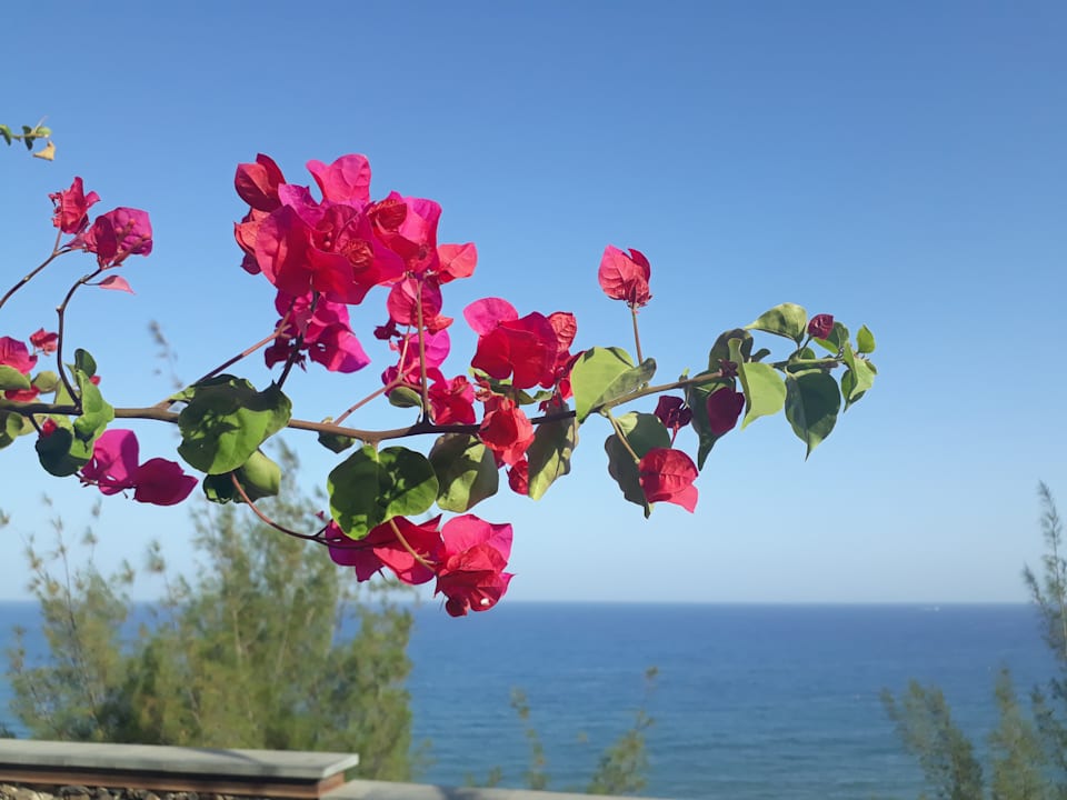 Sonstiges MUR Hotel Neptuno Gran Canaria