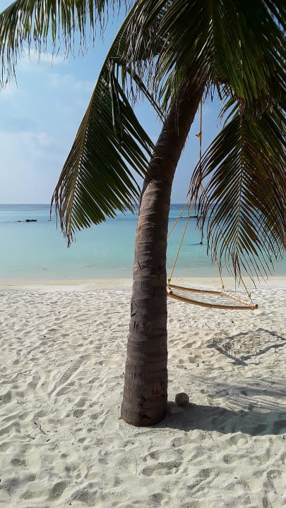 Ohne... Summer Island Maldives