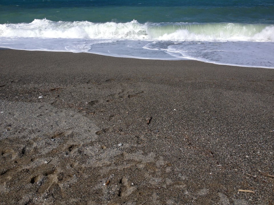 Hier mal ein echtes Bild vom Hotelstrand Falkensteiner Club Funimation Garden Calabria