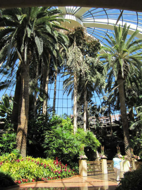 Eingangsbereich mit kleinem Wasserfall The Mirage