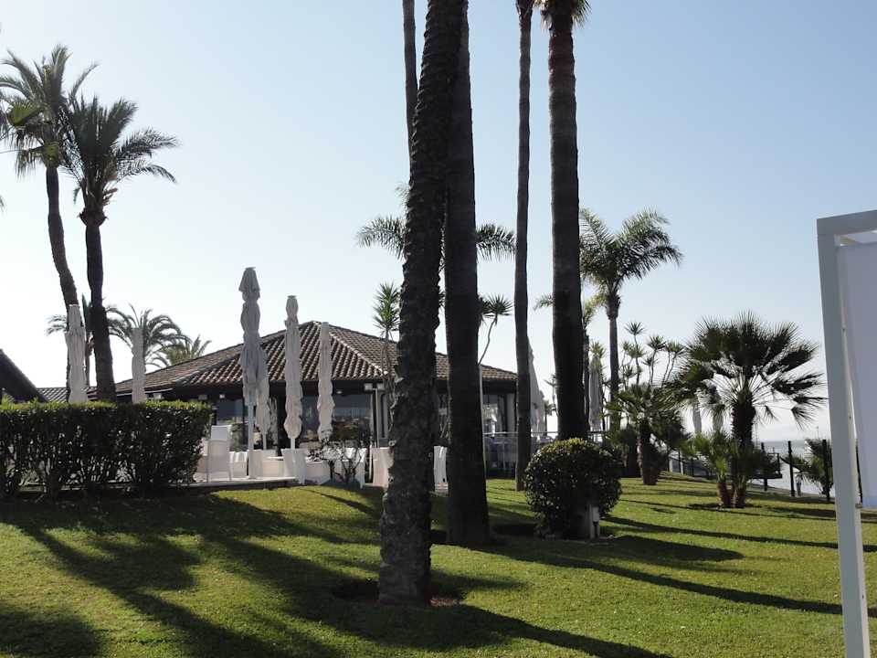 Gartenanlage Alcudiamar Marina Residence