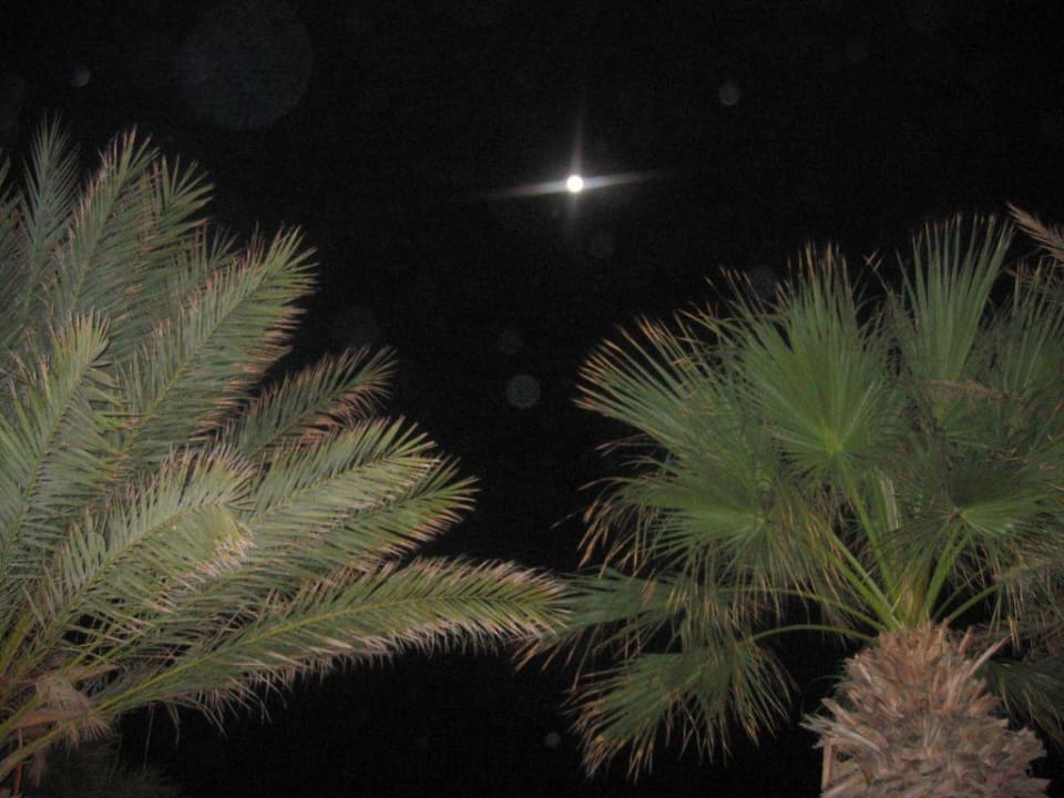 Der Mond... Club Marmara Palm Beach Djerba