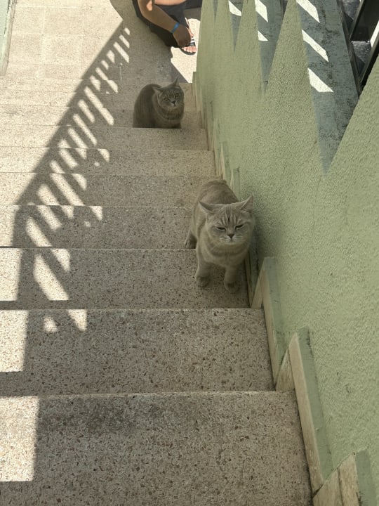 Sonstiges VONRESORT Golden Beach