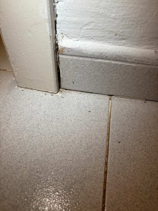 Zimmer Gavimar La Mirada Club Resort