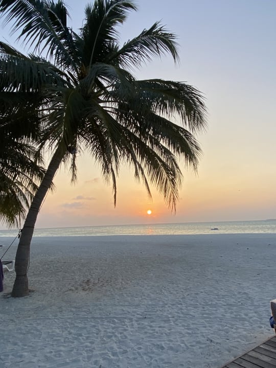 Pool Meeru Maldives Resort Island