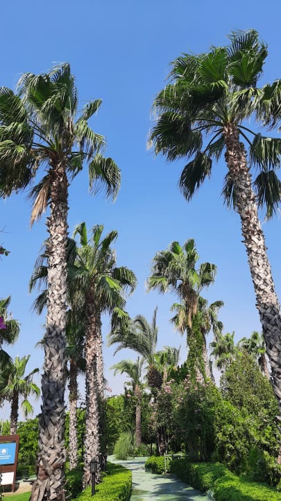 Gartenanlage Trendy Aspendos Beach Hotel