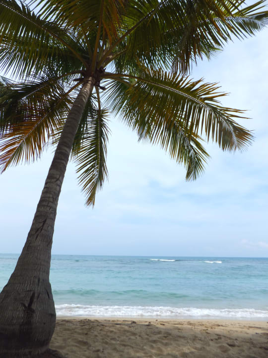 Strand Playabachata Hotel
