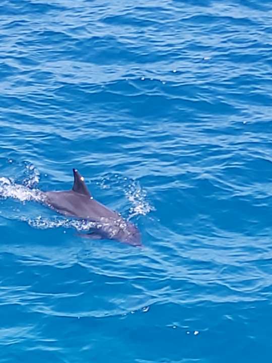 Sonstiges Siva Golden Bay Makadi