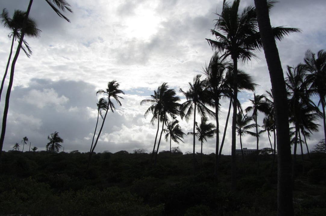 Palmenwald Hotel Southern Palms Beach Resort