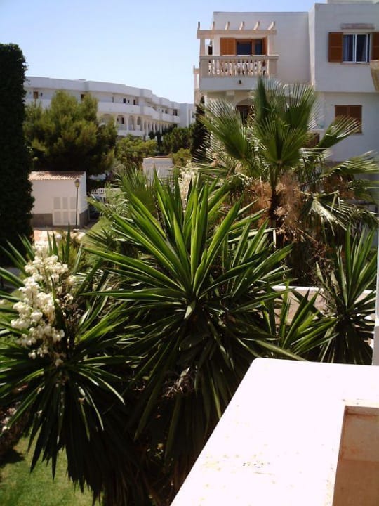 Außenanlage Gavimar La Mirada Club Resort