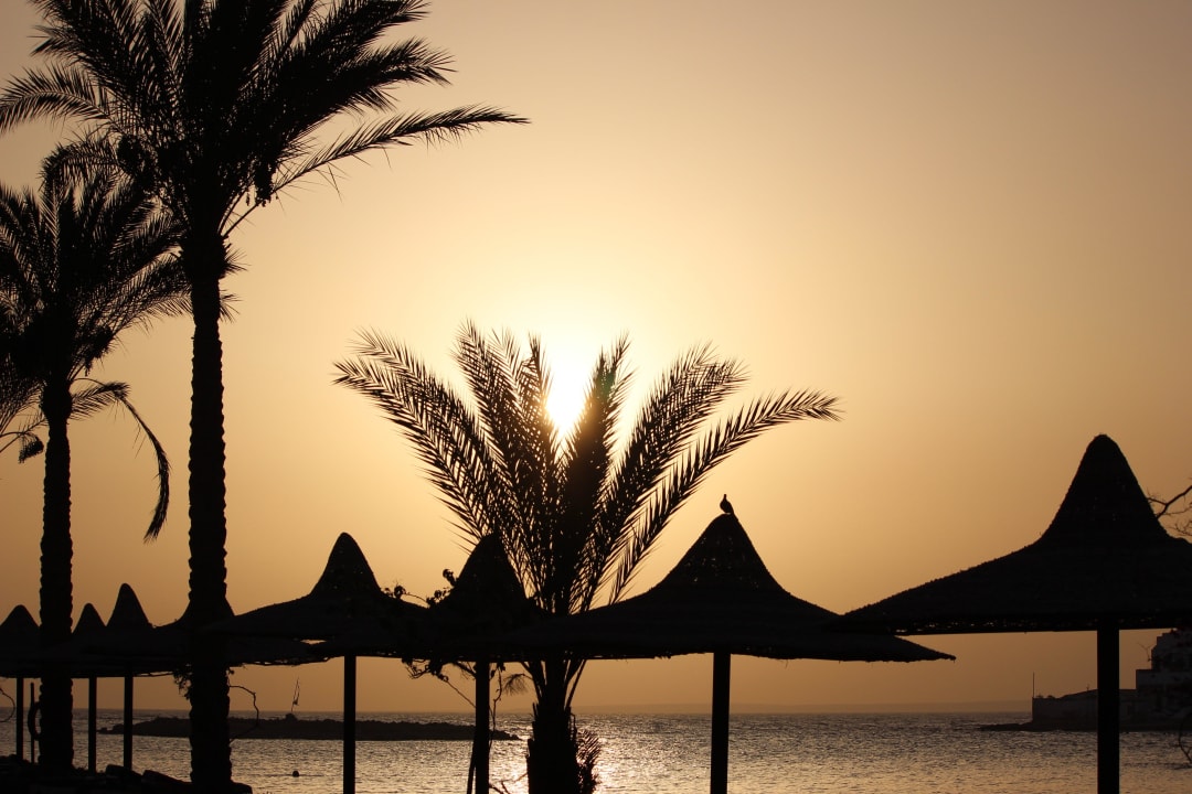 Sonnenaufgang  Arabia Azur Resort