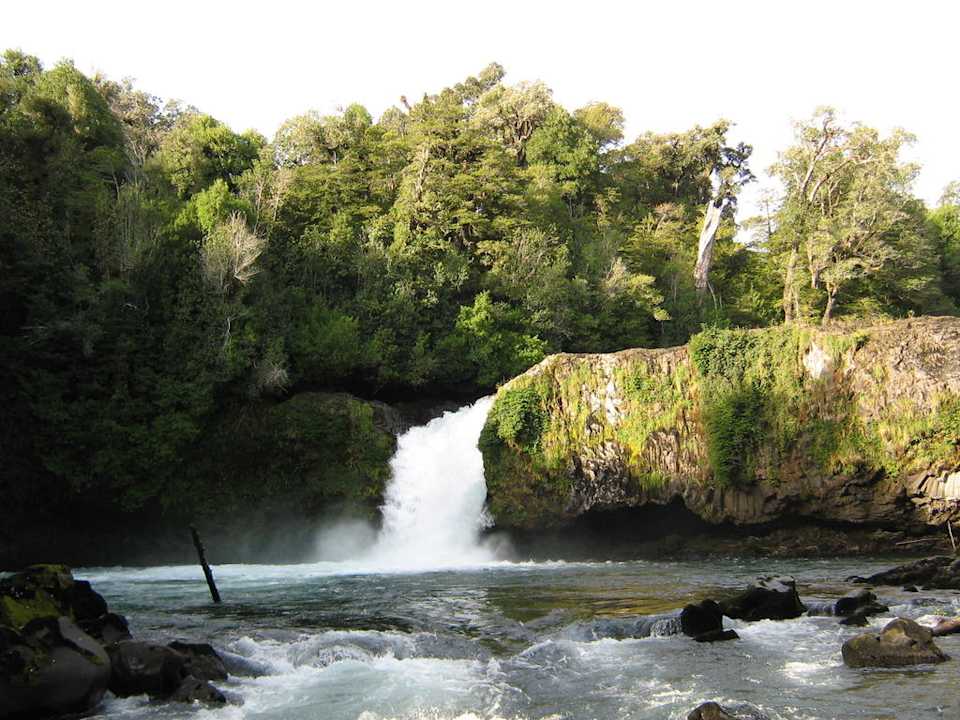 На территории национального парка отеля. Hotel Termas de Puyehue