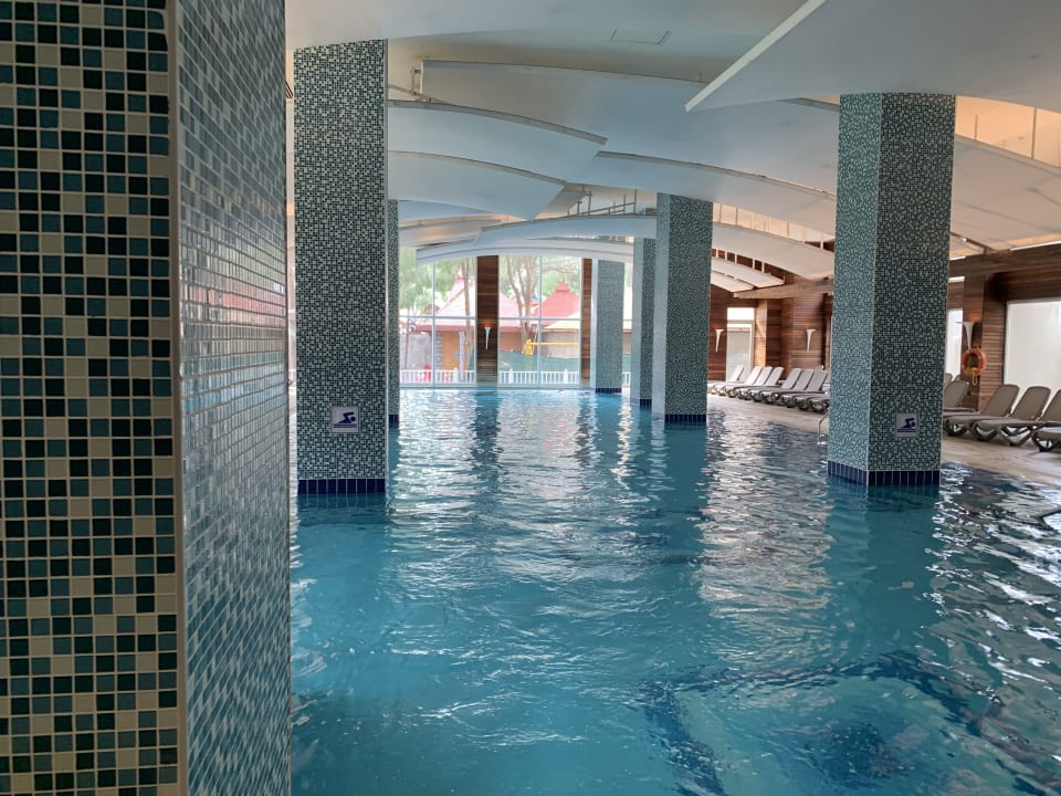 Pool Papillon Ayscha