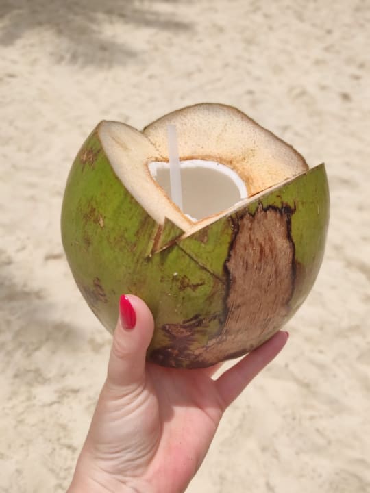 Gastro Hotel Riu Playacar