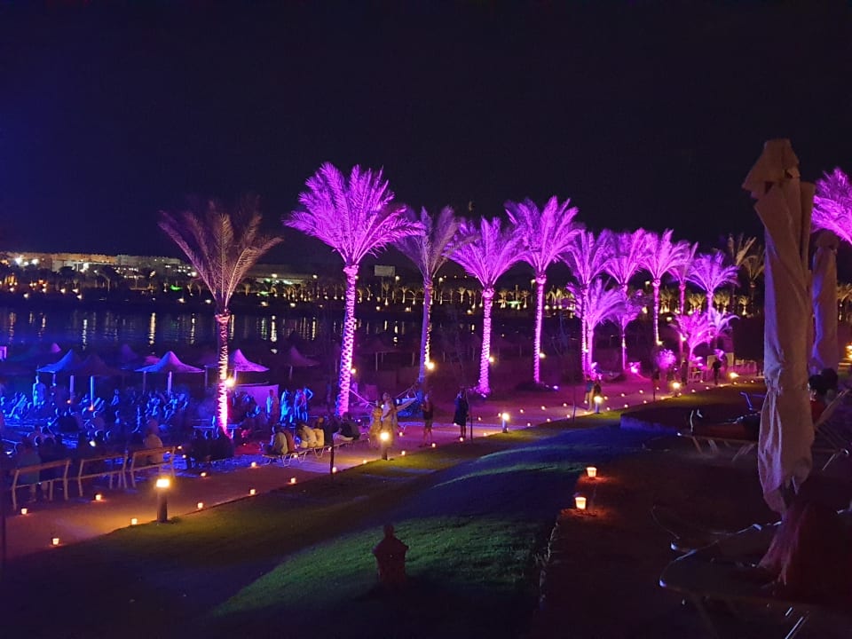 Ausblick Steigenberger Coraya Beach - Adults only