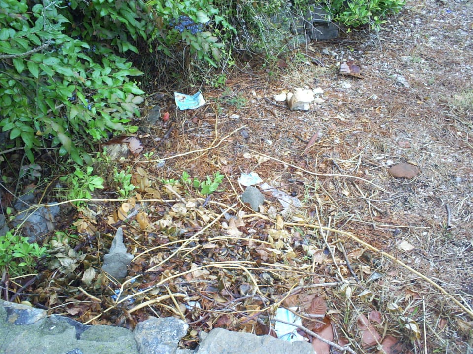 Garten-sehr sauber Potidea Golden Beach Hotel - Across Hotels & Resorts