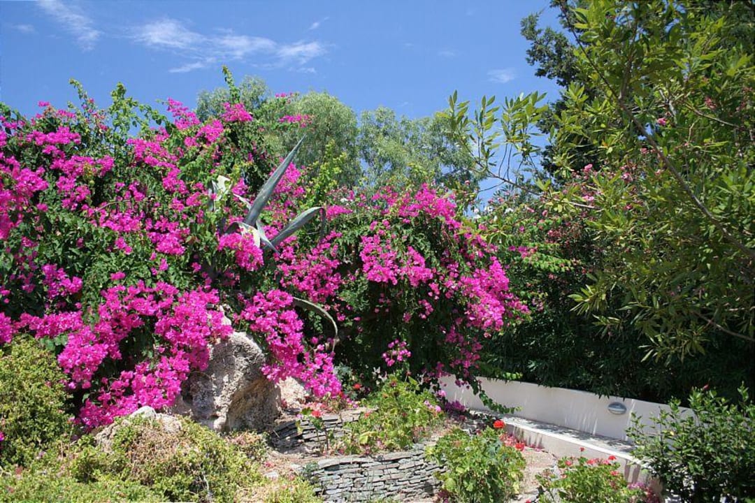Garten Kresten Palace Hotel