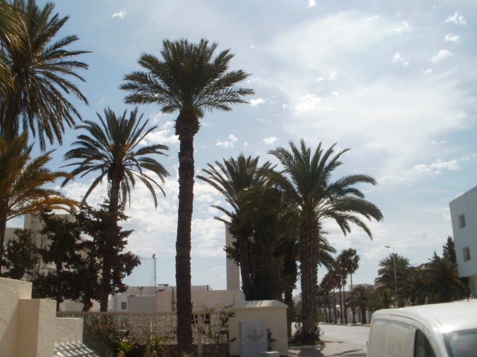 Außeneingang El Mehdi Beach Resort
