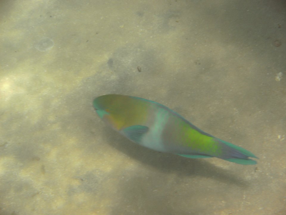 Hausriff Titanic Beach Spa & Aqua Park