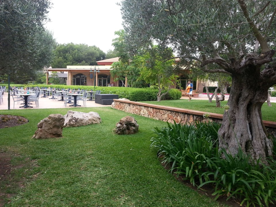Gartenanlage Zafiro Mallorca