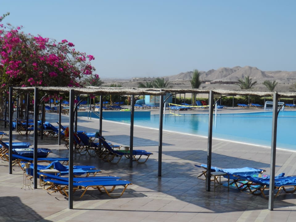 Activity Pool TUI MAGIC LIFE Kalawy