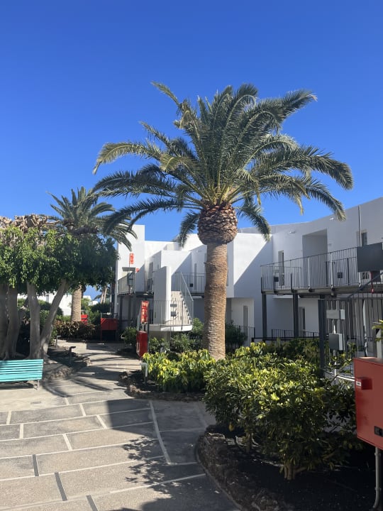 Gartenanlage Sol Fuerteventura Jandia - All Suites