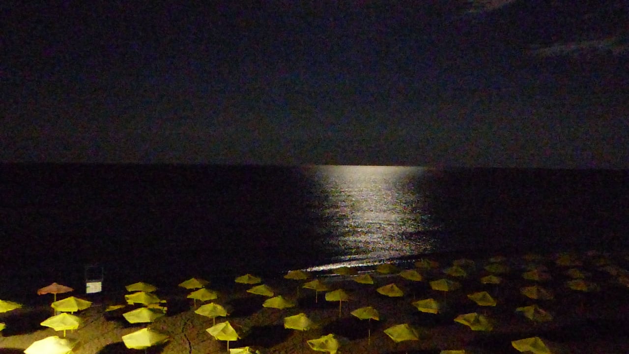 Der Strand in der Nacht Hotel Palma