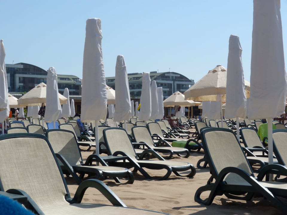 Sonnenschirme und Hotel im Hintergrund Sentido Trendy Verbena Beach