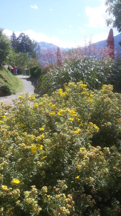 Ausblick HAUS KATHARINA