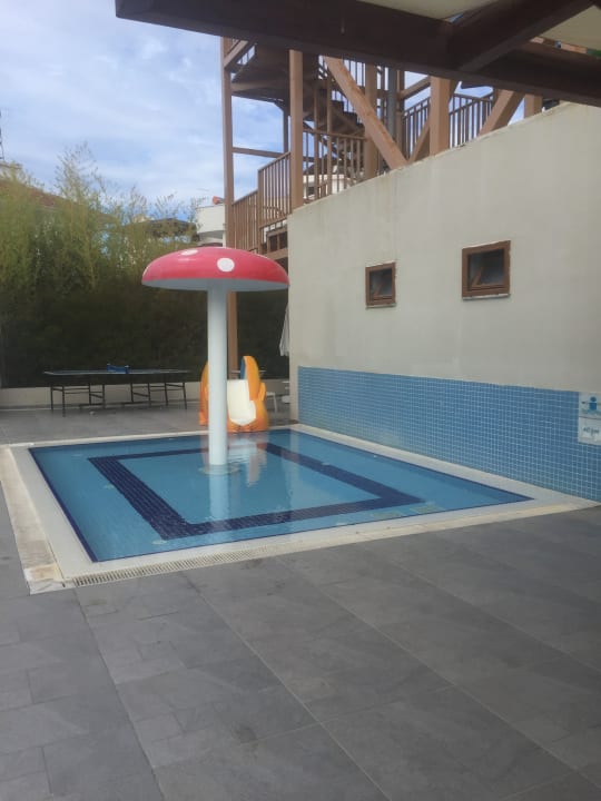 Sport & Freizeit Seashell Vega