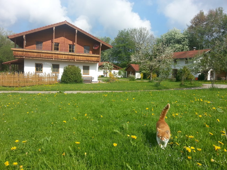 Außenansicht Ferienwohnungen Doblerhof