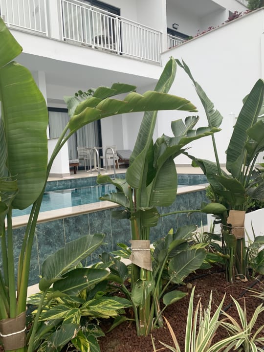 Zimmer VOX MARIS RESORT