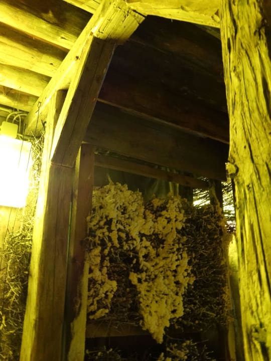 Solestollen Naturhotel Molzbachhof