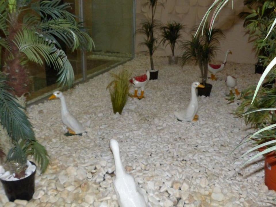 Deko Sunis Kumköy Beach Resort Hotel & Spa