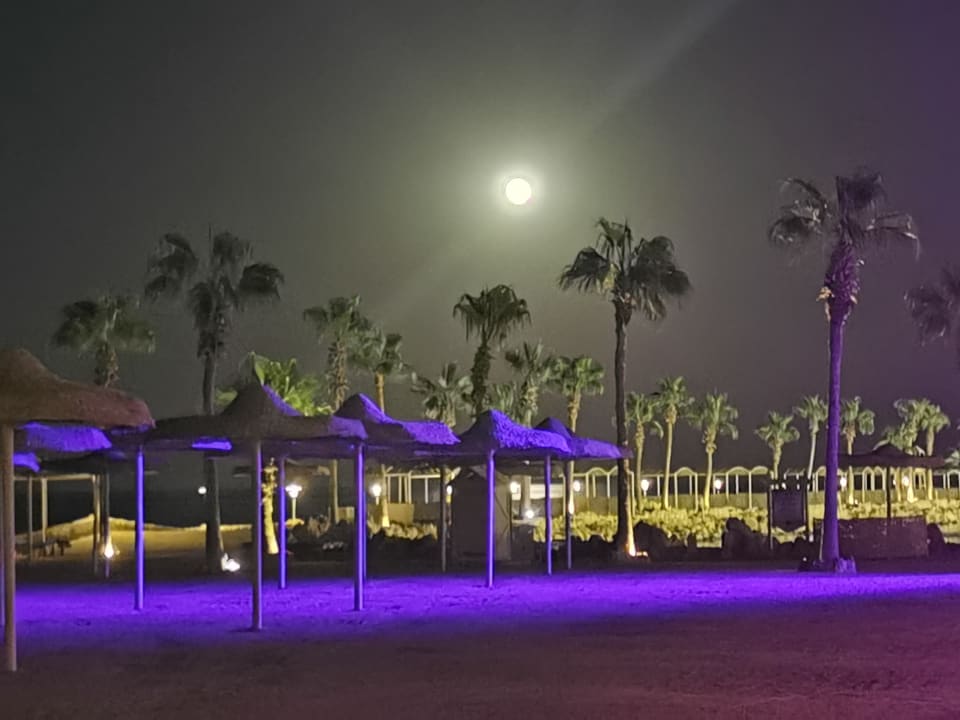 Strand Pickalbatros Citadel Resort