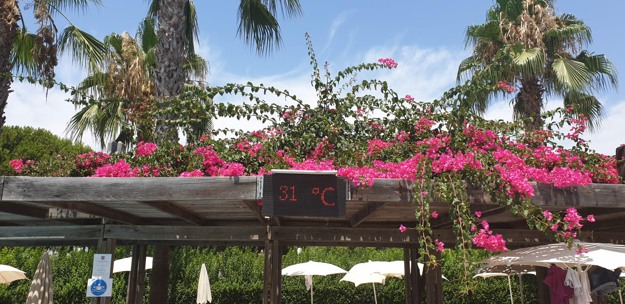 Sonstiges Trendy Palm Beach (Adults Only, 16+)