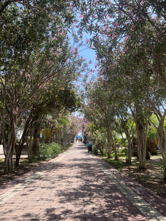 Gartenanlage Seaden Sea World Resort & Spa