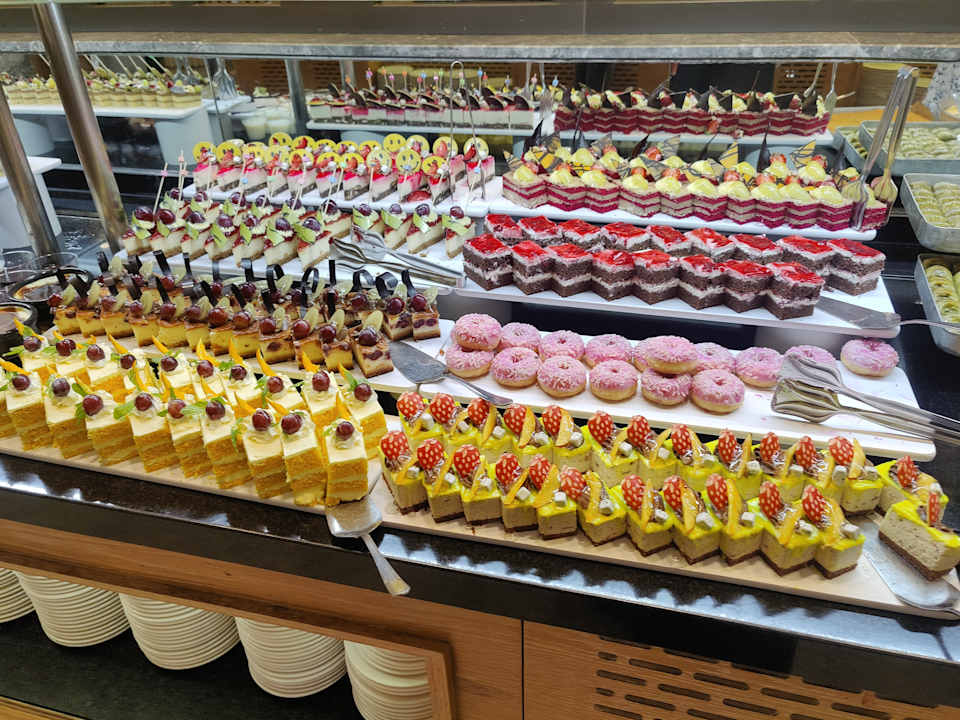 Gastro Seashell Vega