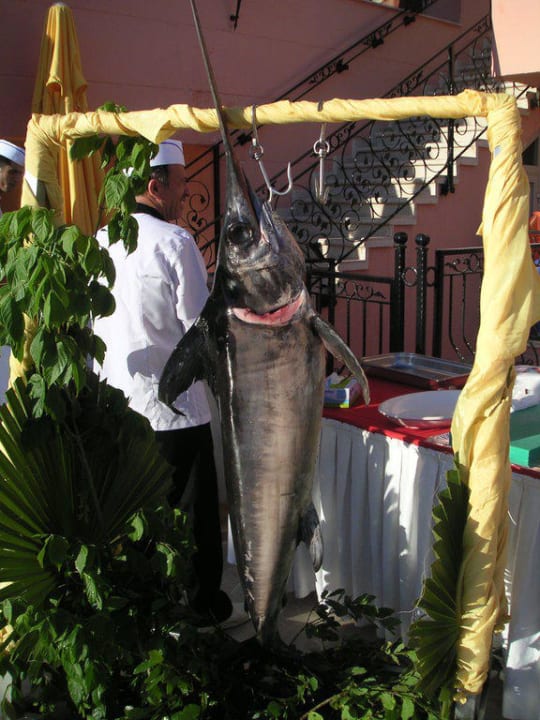 Lecker Fisch zum Galaabend Royal Atlantis Beach Hotel