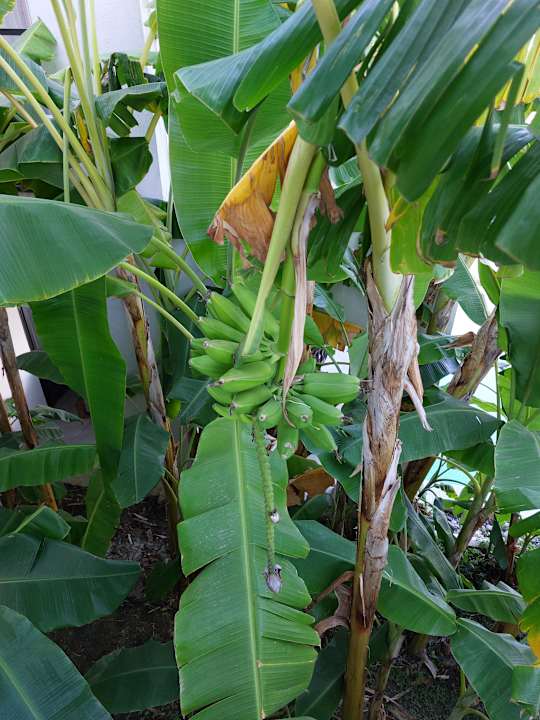 Außenansicht Paloma Finesse