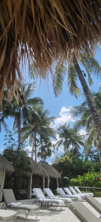 Pool The Palms Hotel & Spa