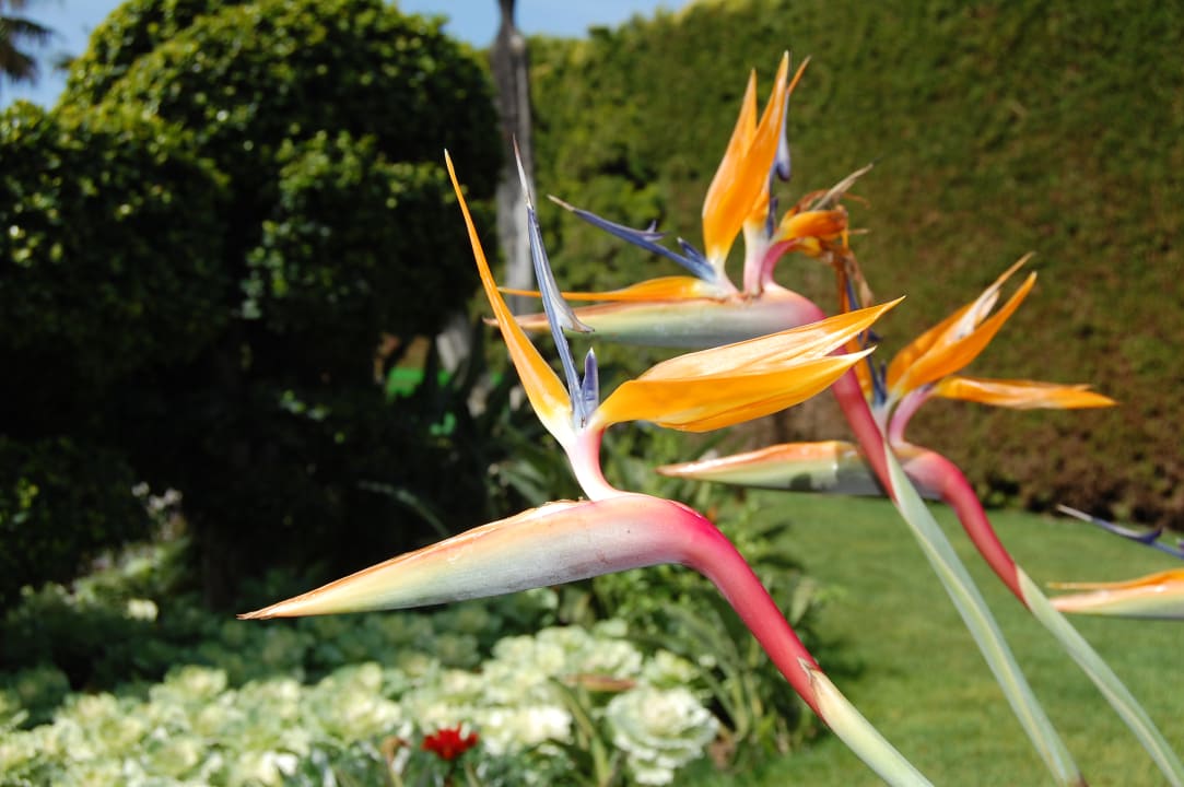 Gartenanlage Voyage Belek Golf & Spa