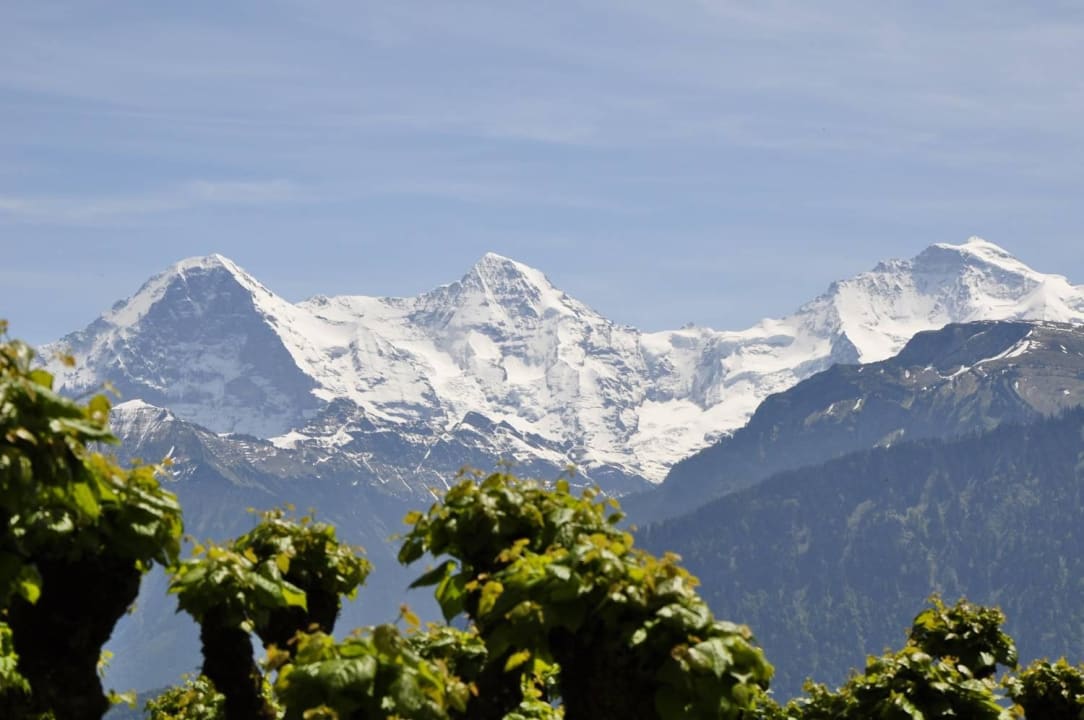 AUSSICHT Hotel Schönegg