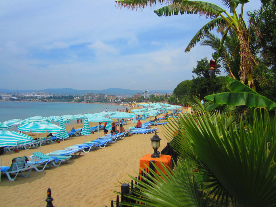 Super Strand Lonicera Resort & Spa Hotel