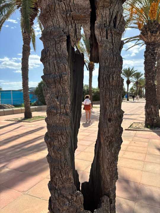 Außenansicht Iberostar Waves Averroes